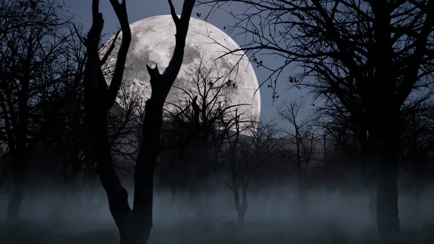 Halloween haunted dark woods forest at night time with fog, mist, full moon, and creepy trees 3D animation flythrough