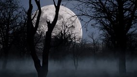 Halloween haunted dark woods forest at night time with fog, mist, full moon, and creepy trees 3D animation flythrough - Powered by Shutterstock - Get 15% off with code: PIKWIZARD15
