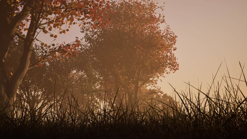 Forest in Autumn fall season with fog, rain falling and butterflies flying 3D animation camera low view