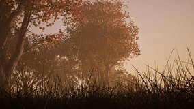 Forest in Autumn fall season with fog, rain falling and butterflies flying 3D animation camera low view - Powered by Shutterstock - Get 15% off with code: PIKWIZARD15