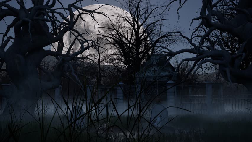 Halloween haunted graveyard inside dark woods forest at night time, with grave stones, cat on grave, skull, bones, mist, full moon and creepy trees 3D animation camera dolly right