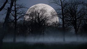 Halloween haunted dark woods forest at night time with fog, mist, full moon, and creepy trees 3D animation camera dolly up - Powered by Shutterstock - Get 15% off with code: PIKWIZARD15