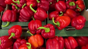 Red peppers displayed in green cardboard crates, Tracking shot top view on red bell pepper displayed by greengrocer - Powered by Shutterstock - Get 15% off with code: PIKWIZARD15