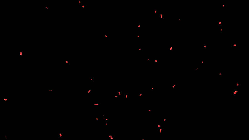 Maple Leaves Falling on Alpha Channel. 3D rendering. Maple leaves falling with alpha channel you can place on footage or background and easier to change colour.
 - Powered by Shutterstock - Get 15% off with code: PIKWIZARD15
