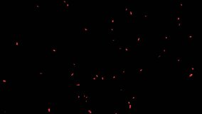 Maple Leaves Falling on Alpha Channel. 3D rendering. Maple leaves falling with alpha channel you can place on footage or background and easier to change colour.
 - Powered by Shutterstock - Get 15% off with code: PIKWIZARD15