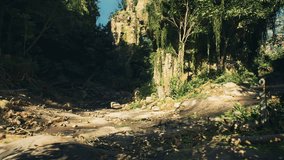 A rugged dirt road winds its way through a rocky forest, devoid of any people or animals. - Powered by Shutterstock - Get 15% off with code: PIKWIZARD15