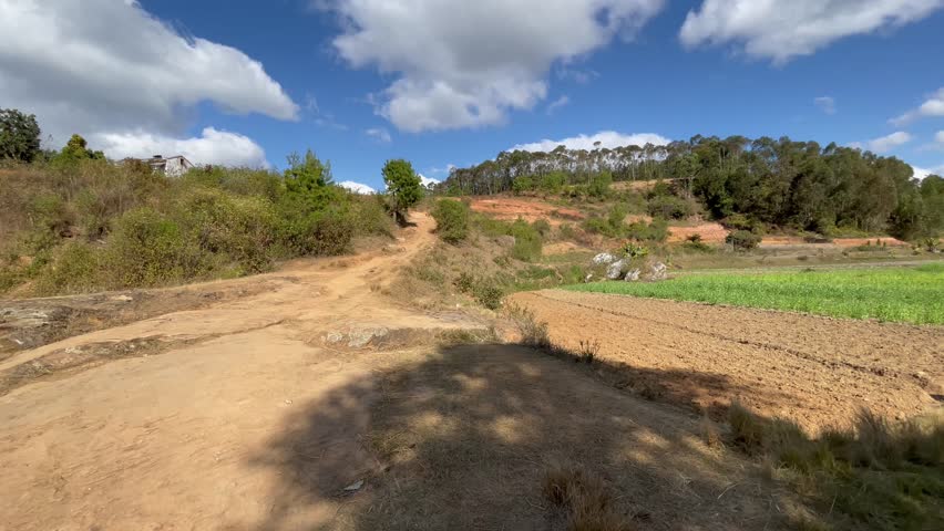 Dirt Path in a Natural Landscape Under a Blue Sky