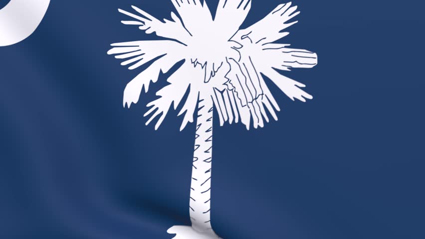 3d Render Animation of United State of America Flag called South Carolina