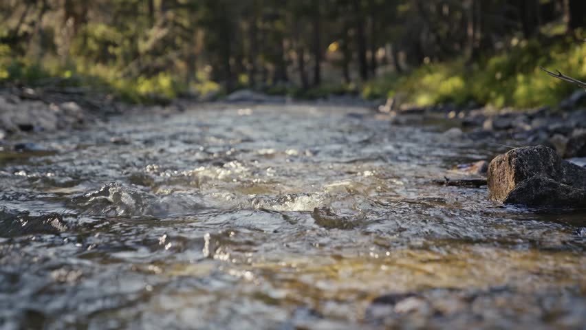 A calm forest stream flows through the John Muir Trail under the soft afternoon light