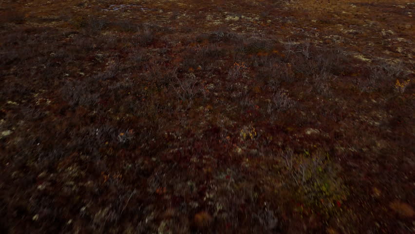 Flying Towards Pingos Landmark In Tuktoyaktuk, Northwest Territories, Canada - Drone Shot