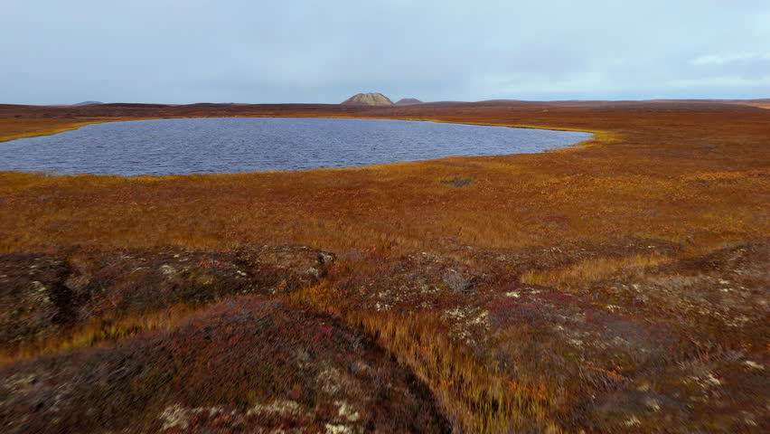 Pingo Landmark Of Tuktoyaktuk, Northwest Territories, Canada - Drone Shot