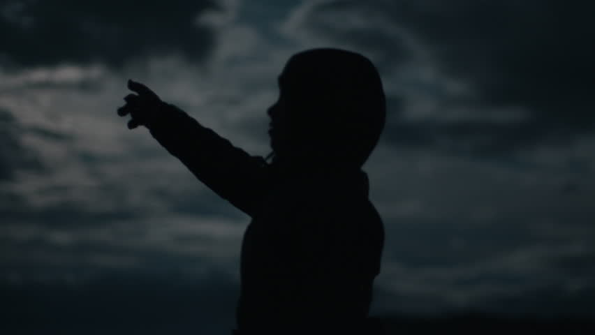 Shutterstock Video