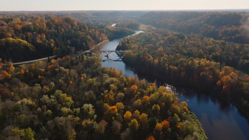 The Gauja River winds through a dense forest in Sigulda, Latvia, surrounded by vibrant autumn foliage. Hills and a clear blue sky complete the scene.