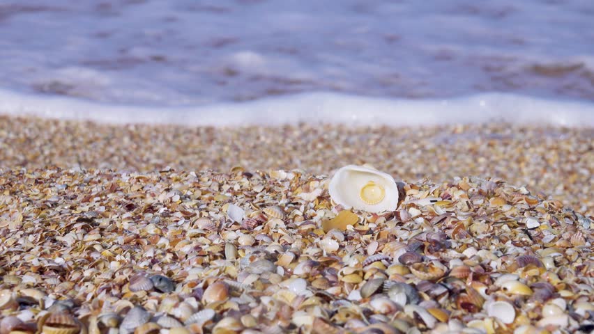 The conditions of Venus