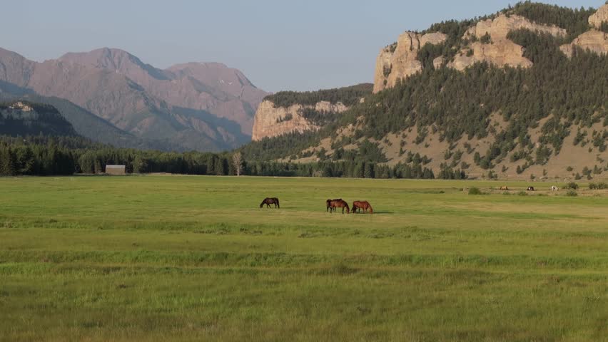 Horses graze in a wide valley with mountains and cliffs in Sunlight Basin, Wyoming