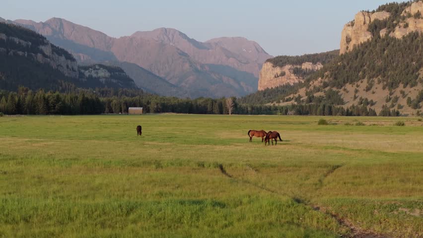 Horses graze in a vast green valley surrounded by mountains at Sunlight Basin, Wyoming
