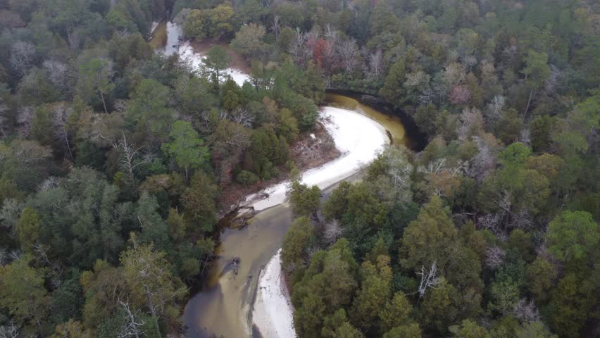 Peaceful Southern Creek in the Woods