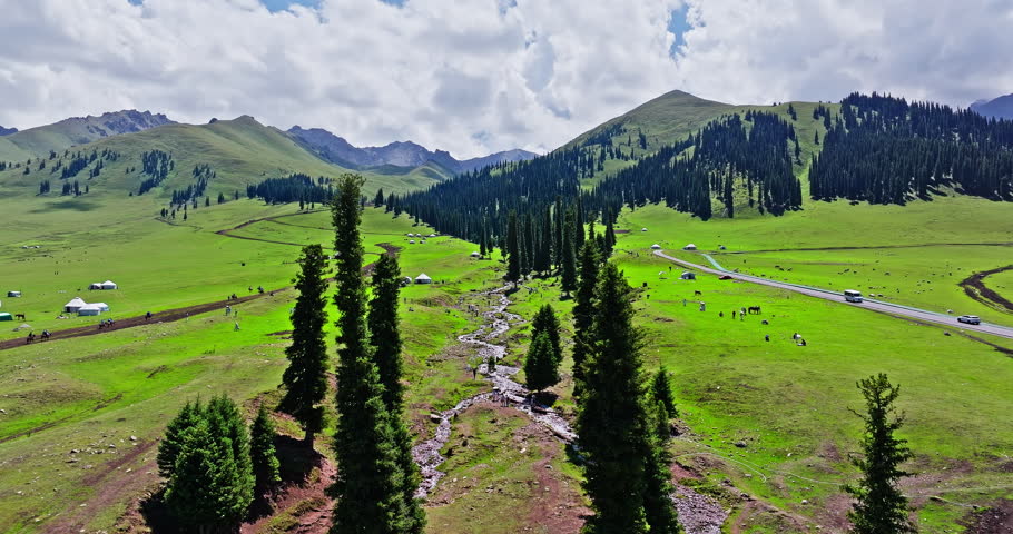 Aerial video of Nalati grasslands, Green meadows and forest with mountain natural landscape in Xinjiang. Famous tourist destinations in China.