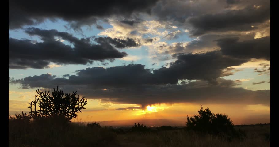 A trail runner moves swiftly through a scenic landscape, blending strength and serenity under an open sky. This video evokes the spirit of adventure, athleticism, and the peaceful connection with natu