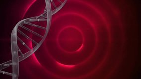 Animation of dna strand spinning over pink glowing flickering circles. Research, science, movement and colour concept digitally generated video. - Powered by Shutterstock - Get 15% off with code: PIKWIZARD15