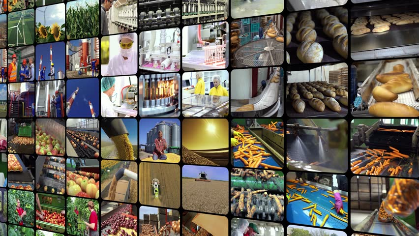 Industrial Production - Conceptual Split Screen Video Montage. Business Industries. Workers Of Different Professions At Work. Workforce Productivity. Oil and Gas Industry. Agriculture. Energy Industry