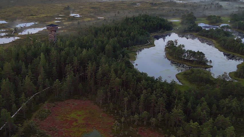 Tall wooden observation tower overlooks tranquil lakes in large bog