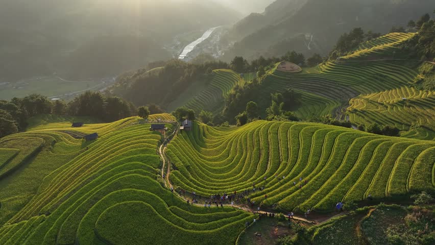 Aerial view of Mu Cang Chai rice filed in Vietnam.