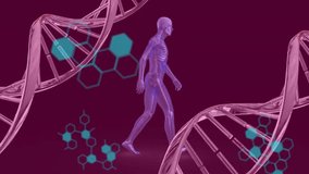 Animation of dna strands, human body and scientific data processing. Global science, computing, data processing and connections concept digitally generated video. - Powered by Shutterstock - Get 15% off with code: PIKWIZARD15