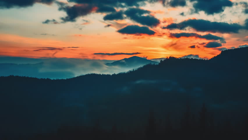 Shutterstock Video