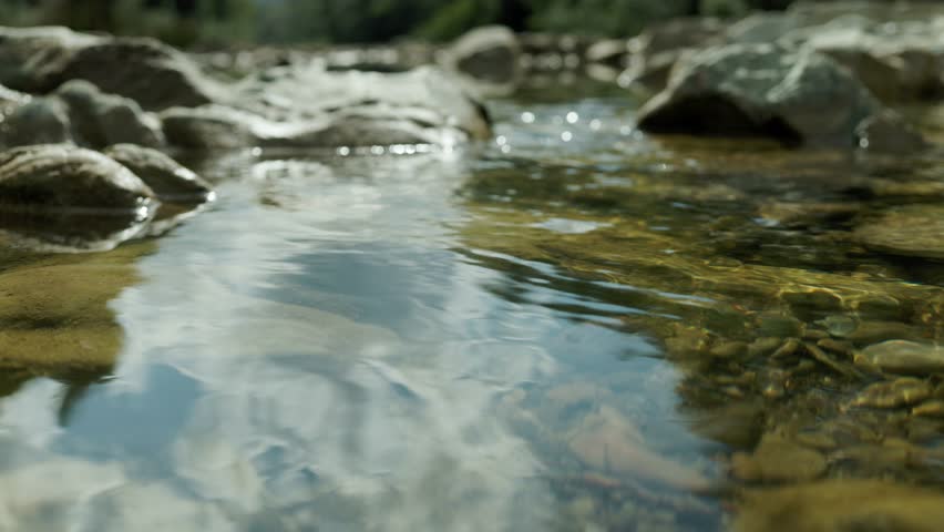 river and mountains in the forest close-up. Beautiful natural background with bokeh.