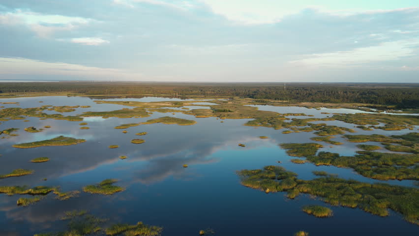 4K aerial view of Semigallia’s serene wetland in Latvia, showing water reflecting the clouds and scattered vegetation. The scene highlights the untouched beauty of the area.
