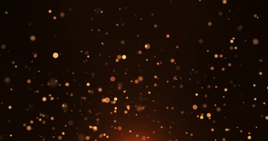 Shutterstock Video