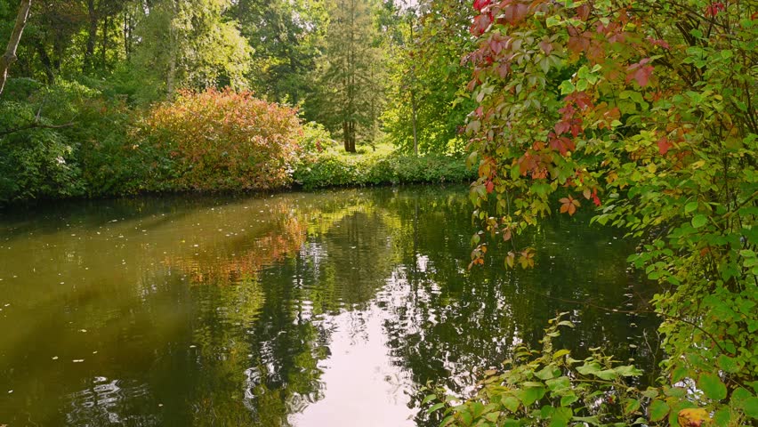 Pond in autumn park. Calm atmosphere.