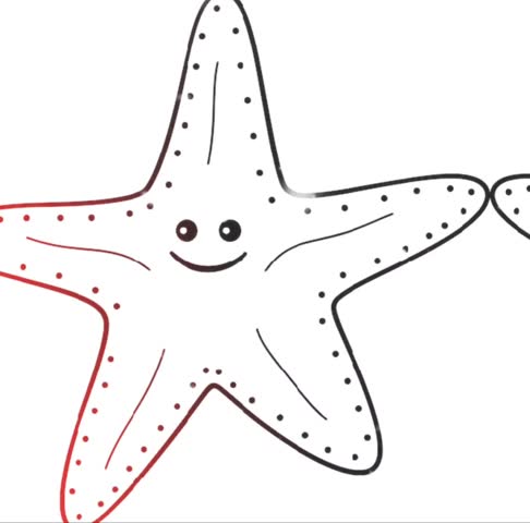 Cute Starfish Animation Graphic Closeup