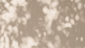 Transparent soft light and shadows from branches, plant, foliage and leaves. Morning sunlight and tree shadows blowing by wind reflecting on wall. Product, advertising. Summer concept. 4k - Powered by Shutterstock - Get 15% off with code: PIKWIZARD15