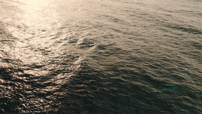 Magnificient humpback whale breaches forward and release spout and splashes into water at golden hour