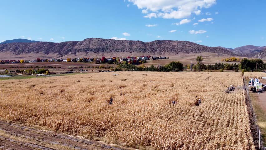 Beautiful corn maze in Colorado