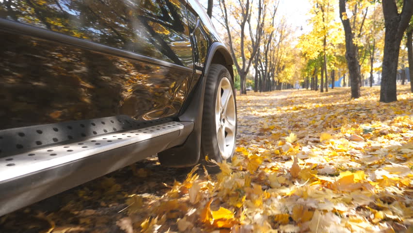 Wheel of powerful car driving on park road over yellow autumnal leaves in sunny day. Colorful autumn foliage flies out from under wheel of automobile. SUV crossing through empty road. Slow motion