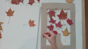 A person arranges vibrant autumn leaves on a sheet of paper for an artistic craft project. - Powered by Shutterstock - Get 15% off with code: PIKWIZARD15