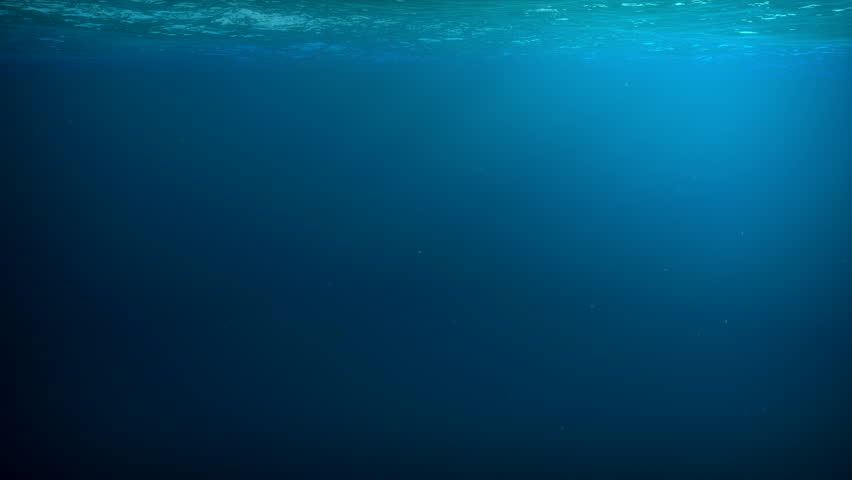Giant deep sea squid swims underwater