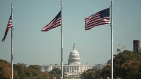 Three American flags wave in the wind, with the iconic Capitol Building in the background. The image captures the essence of American patriotism and national identity. - Powered by Shutterstock - Get 15% off with code: PIKWIZARD15