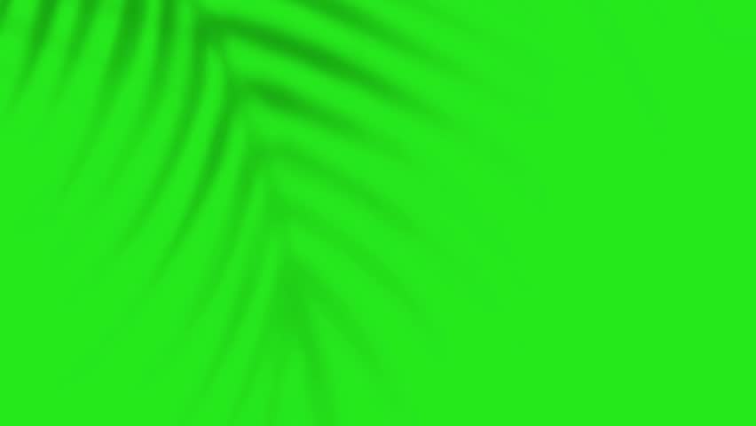 Palm tree shadow on a green screen. Boho-style plant shadow. Abstract, minimalist background with Plant silhouettes. 4K video
