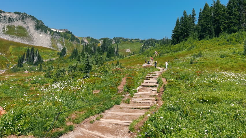 Hikers walking along a scenic mountain trail with wildflowers. A group of hikers walks along a scenic mountain trail lined with wildflowers and surrounded by lush greenery.