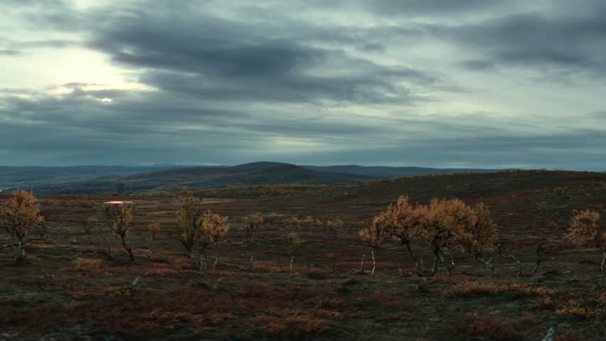 Beautiful brown horse rider walking in green mountains, black shoe rider, confident horse walk, coming closer in the green rocky landscape, 4k background.