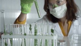 Woman scientist wearing a lab coat, green gloves and mask holding a test tube with plants inside, close up. Science and medicine concepts - Powered by Shutterstock - Get 15% off with code: PIKWIZARD15
