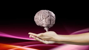 Animation of human brain spinning over cupped hands against neon digital waves on black background. Medical research and science technology concept - Powered by Shutterstock - Get 15% off with code: PIKWIZARD15