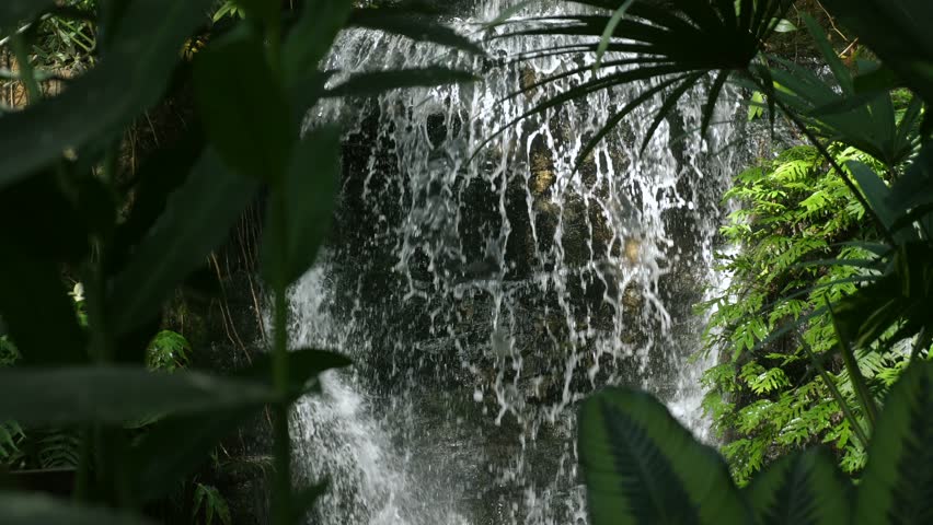 Serene waterfall in tropical jungle, lush green foliage, beauty and relaxation. Serene jungle waterfall