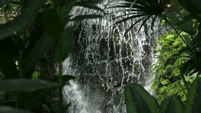 Serene waterfall in tropical jungle, lush green foliage, beauty and relaxation. Serene jungle waterfall - Powered by Shutterstock - Get 15% off with code: PIKWIZARD15