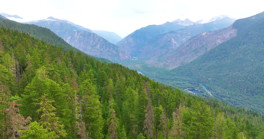 Lush Forest Tree Tops North Cascades National Park Aerial Drone