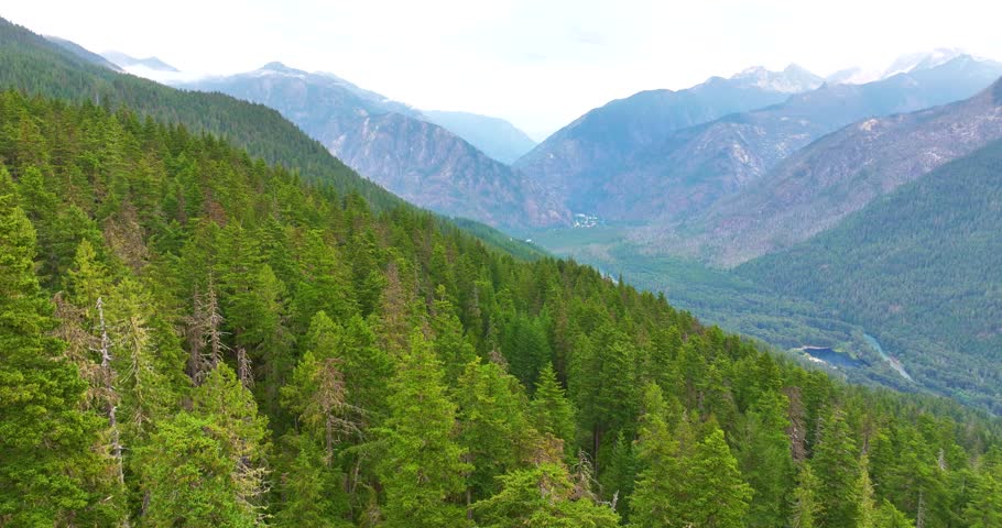 Lush Green Trees Covering North Cascades Peaks from Above